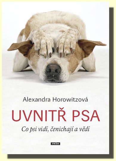 Uvnitř psa co psi vidí, čenichají a vědí