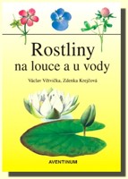 Rostliny na louce a u vody