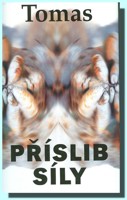 Příslib síly úvahy nad rozhovory toltéckých bojovníků v díle Carlose Castanedy