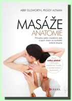 Masáže anatomie průvodce sedmi masážními styly a jejich vlivem na konkrétní svalové skupiny