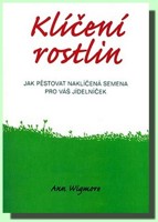 Klíčení rostlin - jak pěstovat naklíčená semena
