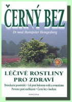 Černý bez 