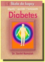 Diabetes - škola do kapsy (ve slevě jediný výtisk !)