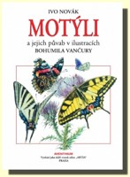 Motýli a jejich půvab v ilustracích