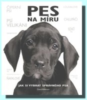 Pes na míru jak si vybrat správného psa