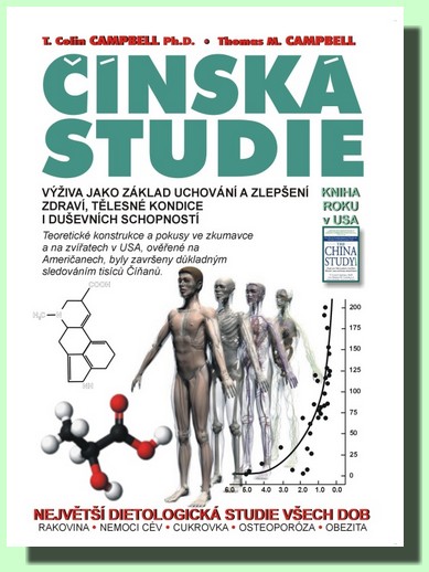 Čínská studie