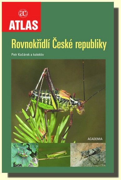 Rovnokřídlí České republiky