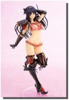 Akane Ryuuzouji Sexy Anime Figure