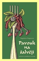 Pavouk na šalvěji