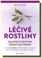 Léčivé rostliny nejlepší využití pro zdraví celé rodiny