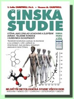 Čínská studie