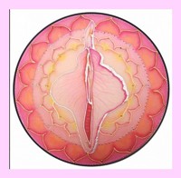 JONI V LOTOSU (mandala)