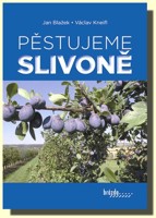 Pěstujeme slivoně
