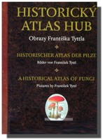 Historický atlas hub