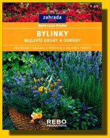 Bylinky nejlepší druhy a odrůdy