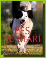 Pes ve stáří