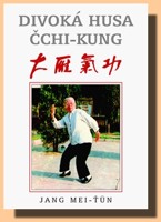 Divoká husa čchi-kung