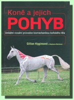 Koně a jejich pohyb
