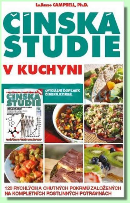 Čínská studie v kuchyni