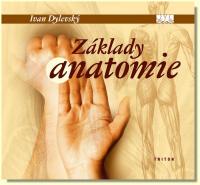 Základy anatomie