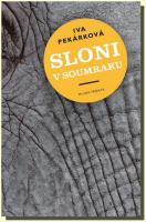 Sloni v soumraku
