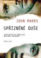 Spřízněné duše  psychologický román