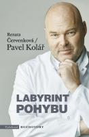 Labyrint pohybu - o pohybu v medicíně, ve sportu i v běžném životě