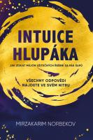 Intuice hlupáka - jak získat milión užitečných řešení za pár šupů