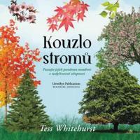 Kouzlo stromů - vše, co potřebujete vědět o kouzelných schopnostech stromů