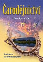 Čarodějnictví - proletět se na stříbrném koštěti