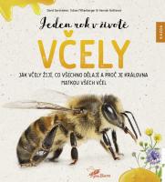 Jeden rok v životě včely - jak včely žijí, co všechno dělají a proč je královna matkou všech včel