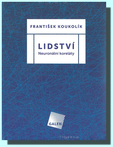 Lidství - neuronální koreláty