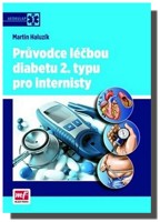 Průvodce léčbou diabetu 2. typu pro internisty