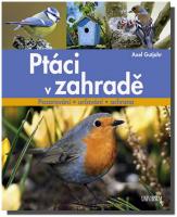 Ptáci v zahradě pozorování určování ochrana