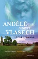 Andělé v mých vlasech skutečný příběh moderní irské mystičky