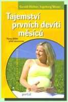 Tajemství prvních devíti měsíců vývoj dítěte před narozením
