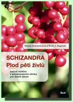 Schizandra plod pěti živlů