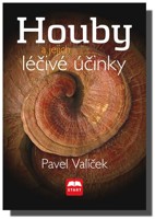 Houby a jejich léčivé účinky