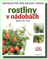 Rostliny v nádobách