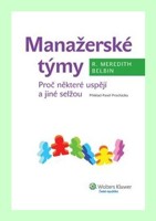 Manažerské týmy