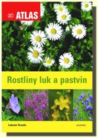 Rostliny luk a pastvin