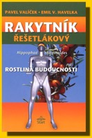 Rakytník Řešetlákový rostlina budoucnosti