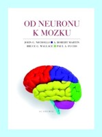Od neuronu k mozku