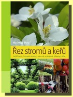 Řez stromů a keřů
