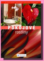 Pokojové rostliny