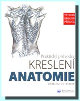 Anatomie praktický průvodce kreslení