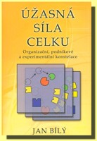 Úžasná síla celku organizační, podnikové a experimentální konstelace