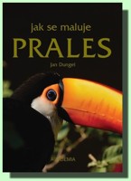 Jak se maluje prales