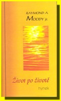 Život po životě, Úvahy o životě po smrti, Světlo po životě