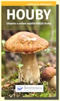 Houby objevte a určete nejdůležitější druhy